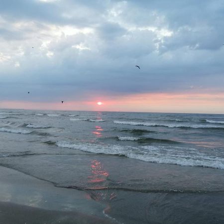 Apartament Summerland Mamaia Ngoại thất bức ảnh